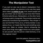 Best Manipulation Quotes image
