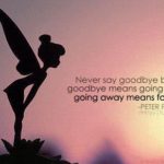 Best Never Say Never Quotes 2 image