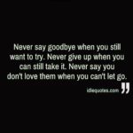 Best Never Say Never Quotes 3 image