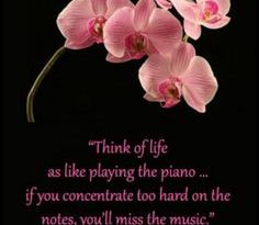 Best Orchids Quotes 2 image