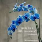Best Orchids Quotes 2 image