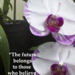 Orchids Quotes 3