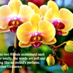 Best Orchids Quotes 3 image