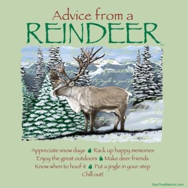 Collection : +27 Reindeer Quotes and Sayings with Images