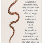 Snakes Quotes and Sayings with Images