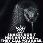 Best Snakes Quotes 2 image