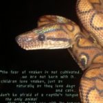 Snakes Quotes 2