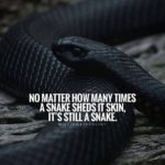Best Snakes Quotes 3 image