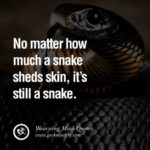 Best Snakes Quotes image