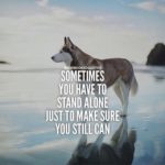 Best Stand Alone Quotes image