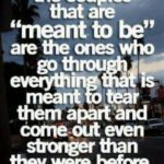 Best Through Thick And Thin Quotes image
