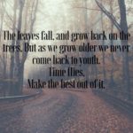 Best Time Flies Quotes 3 image