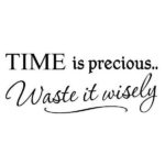 Best Time Is Precious Quotes image