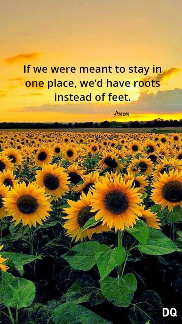 Travel Quotes for Instagram Scrapbooking Journaling and Quotes about Travel Travel Quotes for Instagram Scrapbooking Journaling and Quotes about Travel