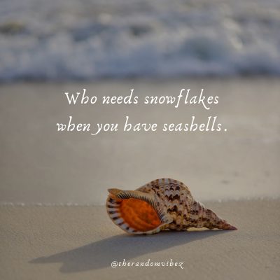 Collection : 50 Seashell Quotes To Refresh Your Beach Memories ...