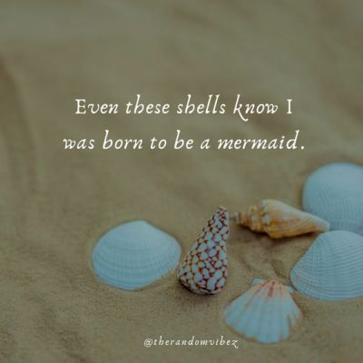 Collection : 50 Seashell Quotes To Refresh Your Beach Memories ...
