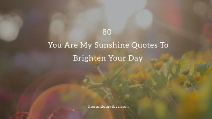 Collection : 80 You Are My Sunshine Quotes To Brighten Your Day ...