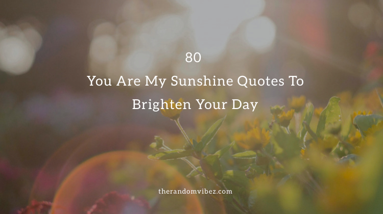 Collection 80 You Are My Sunshine Quotes To Brighten Your Day