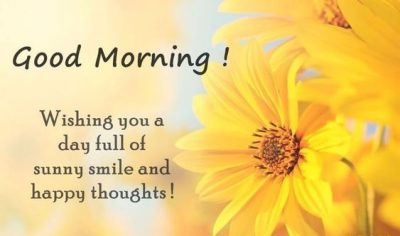 Collection : 60 Good Morning Sunshine Quotes, Images & Pictures ...