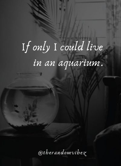 Collection : Top 40 Aquarium Quotes And Captions For Your Fish Love