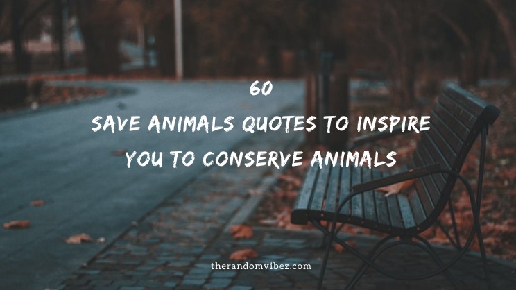 Collection 60 Save Animals Quotes To Inspire You To Conserve Animals
