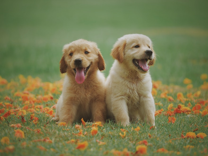 Cute Best Friend Quotes Friendship Thoughts Cute Best Friend Quotes Friendship Thoughts