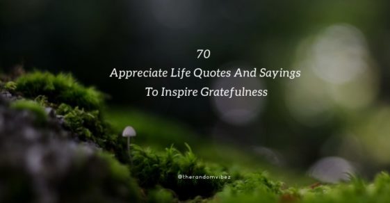 Collection : 70 Appreciate Life Quotes And Sayings To Inspire ...