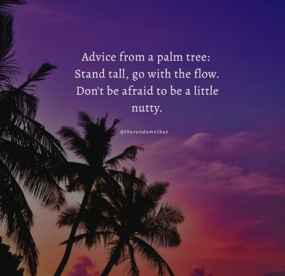 Collection : 70 Palm Tree Quotes And Captions To Inspire You (Instagram ...