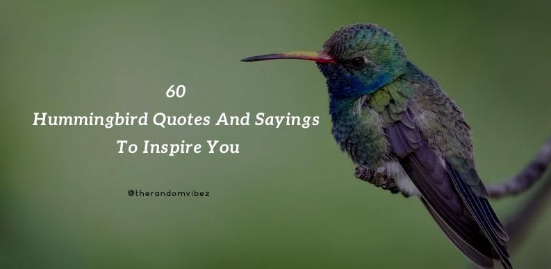 Collection : 60 Hummingbird Quotes And Sayings To Inspire You