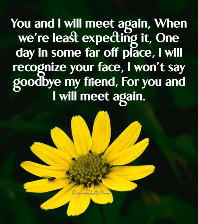 goodbye quotes for friends