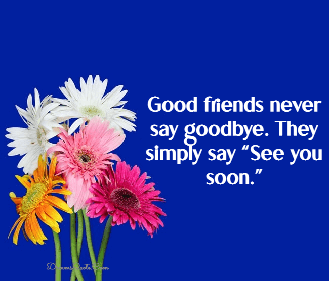 farewell and goodbye quotes for friends