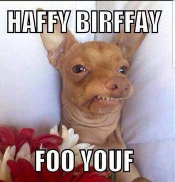 Collection : 100 Funniest Happy Birthday Memes to Give Them a Laugh ...