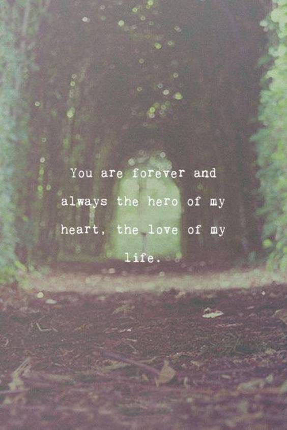 Love You Till The End Of My Life Quotes