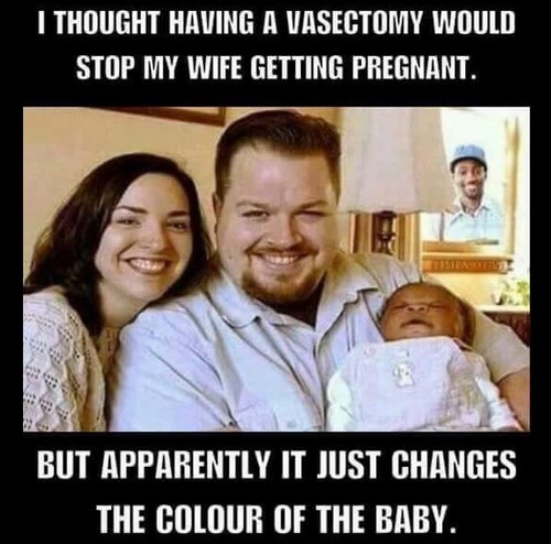 Awesome Wife Meme family_wife_meme1 Satisfied wife meme I had been under the impression that having a vasectomy would prevent my wife from getting pregnant, but it appears to have made a different coloured kid.