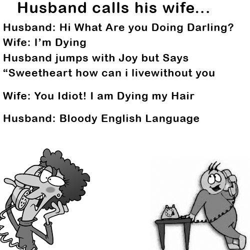 I Love My Wife Meme - Husband calls his wife... Husband: Hi What Are you Doing Darling? Wife: I'm Dying Husband jumps with Joy but Says "Sweetheart how can i live without you Wife: You Idiot! I am Dying my Hair. Husband: Bloody English Language.