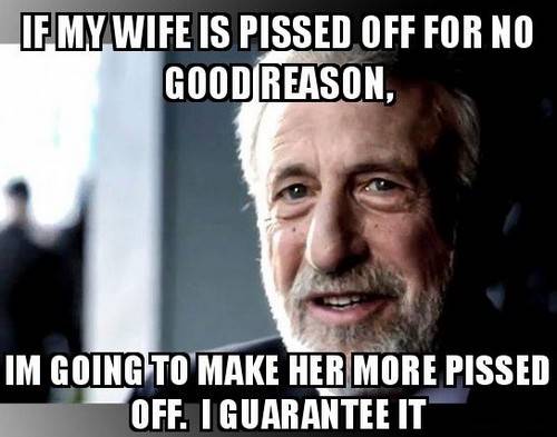 45 Wife Memes That Perfectly Sum Up Married Your how to train your woman meme - If your wife has, she requires I'm completely clueless as to why my wife is so angry right now. I am going to make her even more furious off. I promise you it will work.