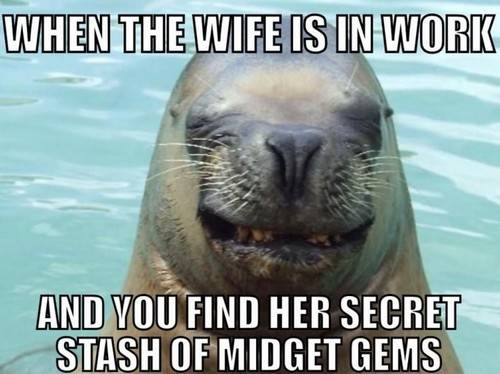 45 Wife Memes That Perfectly Sum Up Married Your good husband meme - When my wife is at work and you discover her collection of little jewels, it is just so funny.