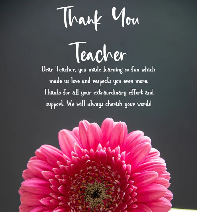 thank you teacher quotes