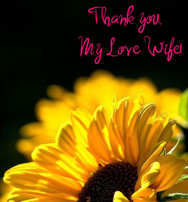 sweet thank you msg for wife