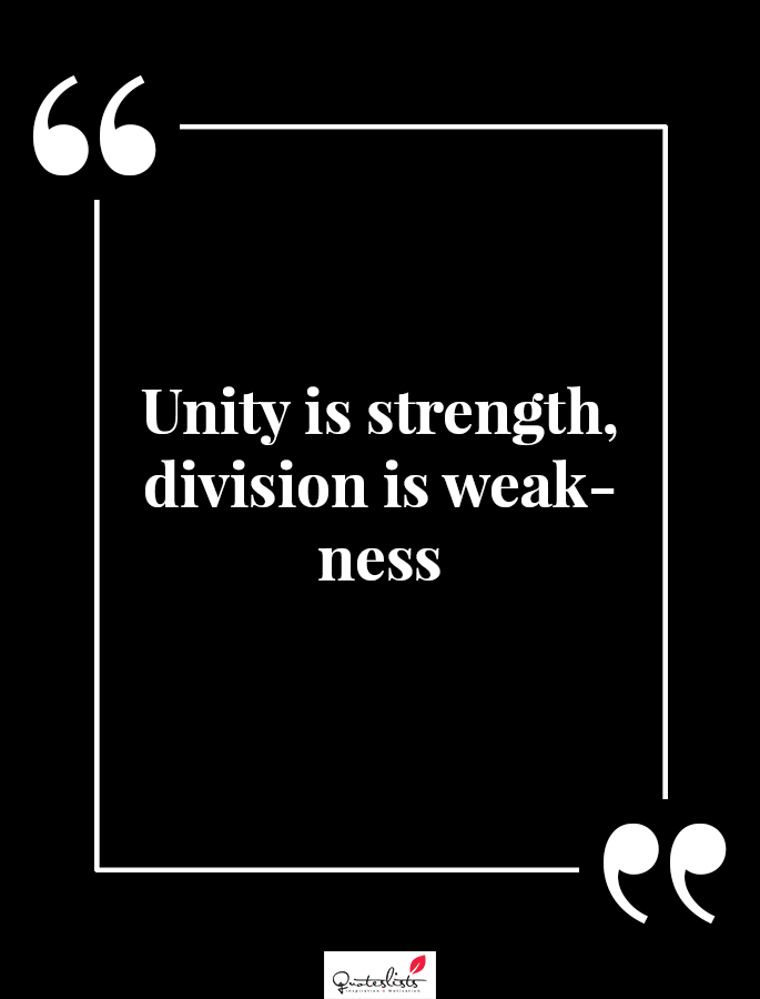 Motivation Quote : Unity Is Strength, Division Is Weakness 